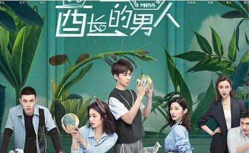 国产甜剧片段最新视频,国产甜剧片段新视频，浪漫情节引网友热议