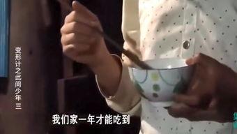 国产阿 视频种子,探索种子技术的创新与应用