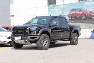 猛禽国产实拍视频播放