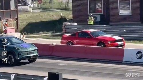 猴哥国产车视频